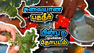 சுவையான பதநீர்😍⚡|பின்புற மூலிகை தோட்டம்😃|ZANA entertainment