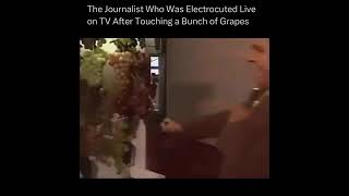 The Journalist who was electrocuted live on TV after touching a Bunch of Grapes