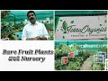 120 varieties of Fruit plant nursery | Terra Organics tour in Telugu & English | Prema's Garden