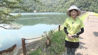 松阪ぐるぐるMAP「嬉野・なめり湖コース」