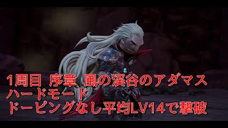 【ブレイブリーデフォルト2】ハードモード 負けイベント1周目 序章 風の渓谷のアダマスを平均LV14で撃破【ドーピングなし】