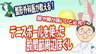 【整形外科医が教える！】テニスボールを使った股関節周辺ほぐし