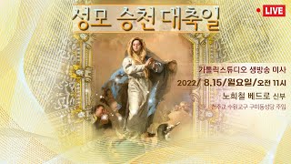 성모 승천 대축일 미사 2022.8.15(월) 오전11시 노희철 베드로 신부(수원교구 분당 구미동성당 주임) I 가톨릭 스튜디오