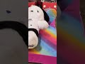 shopping Day with Pochacco #pochacco #sanrio #buildadear #shopping #fun #stuffy #shoppingvlog #cute