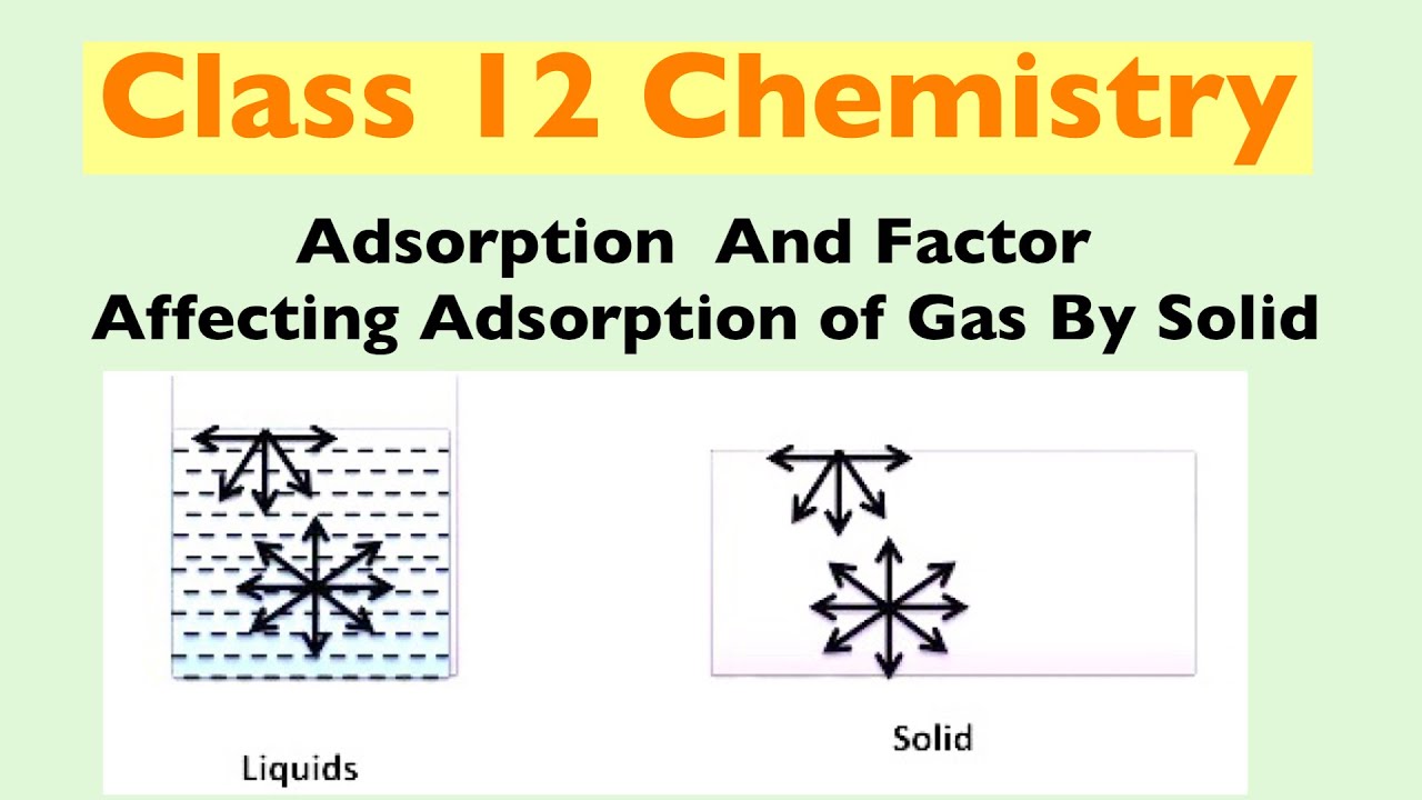 Adsorption And Factor Affecting Adsorption Of Gas By Solid (Hindi ...