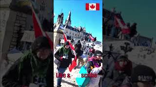 FREEDOM CONVOY 2022 PROTEST - OTTAWA - TRUCK CONVOY #SHORTS