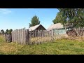 4k Вологодчина. meadows and forests of the vologda region.沃洛格达地区的草地和森林