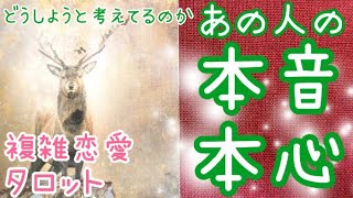 すごいカード続出✨あなたとのこと、どうしようと考えているのか？あの人の本音本心💗💔複雑、復縁、音信不通、社内恋愛タロット占い🔮当たるかもしれないオラクルリーディング