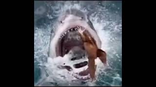 Big animal eating small animal 🤪best funny clip 😝|Whatsapp status 💯#funnyclips#enjoy#animals#60fps