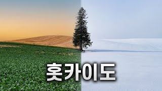 🇯🇵 여름홋카이도 vs 겨울홋카이도, 세상에 이런 비교는 없었습니다