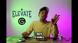 Elevate Strain Review FAIL from Greenlight Dispensary - To Be Continued….