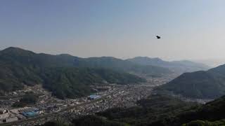 蓮花寺山