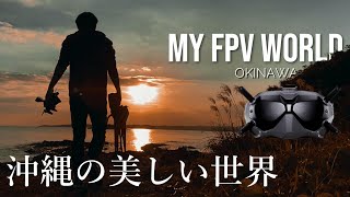 DJI FPV | 美しいサンセットに心奪われる