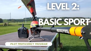 2. Basic Sport: RC Helicopter Pilot Proficiency Program