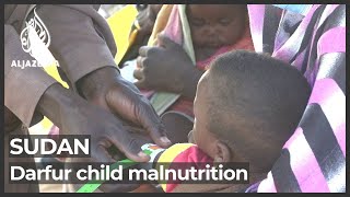 Sudan: More than 200,000 children are starving in Darfur