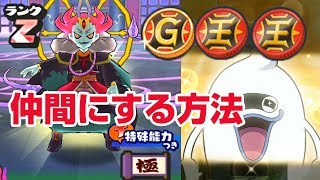 【ぷにぷに攻略】ランクＺ輪廻（りんね）を仲間にする方法 テッカクなし 極妖魔界トーナメント