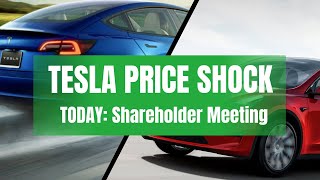 Tesla Price Shock & Shareholder Meeting Questions!