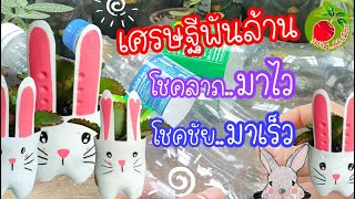 diy กระถางต้นไม้ เพ้นท์กระถางปลูกคาลันโช ไม้อวบน้ำต้นเศรษฐีพันล้านต้อนรับปีกระต่าย/เล่าสู่อู้กำเมือง