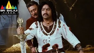 Shakti Telugu Full Movie Part 11/14 | Jr.NTR, Ileana | Sri Balaji Video
