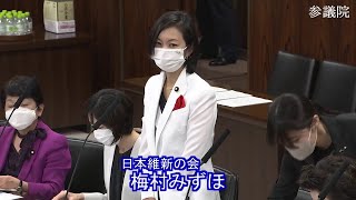 参議院 2022年11月01日 法務委員会 #05 梅村みずほ（日本維新の会）