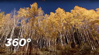The Feeling of Yellow in VR | Color Wheel VR