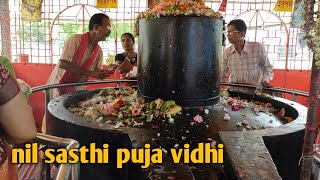 Nil sasthi puja vidhi at home/ # heshelkhana# nilsasthipujavidhi