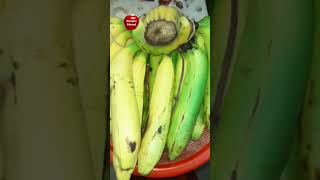 #shorts #big_bananas #ইয়া বড় বড় সাগর কলা