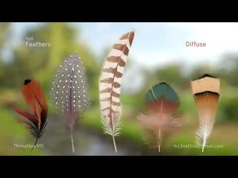 Yeti Feathers Texture Coords Maya Youtube