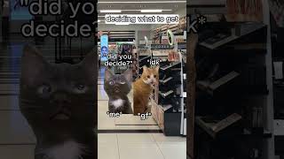 Shopping with GF 🐱 #catmemes #relatable #relationship #couplegoals