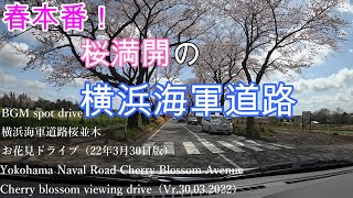 横浜海軍道路ドライブ　22年03月30日版　南行