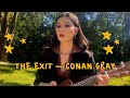 a ukulele cover of the exit by conan gray but it’s in a park