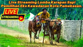 Live Streaming Lomba Karapan Sapi Pemilihan Eks Kawedanan Kota Pamekasan.