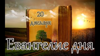 Апостол, Евангелие и Святые дня. Прп. Ни́ла Столобе́нского (1554). (20.12.24)