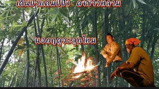 Going into the forest to find Khao Lam bamboo outside the season burn at night