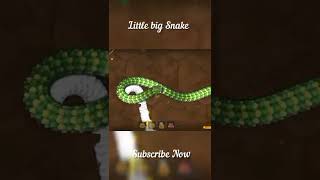 Littlebigsnake.io 🐍 | Funny Epic Moments Little Big Snake Gameplay 💪 #ultra2gaming #snake #games 02
