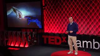 Hacking Humanity | Andrew Lo | TEDxCambridgeSalon