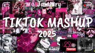 Tiktok Mashup January 💗2025💗 (Not Clean)