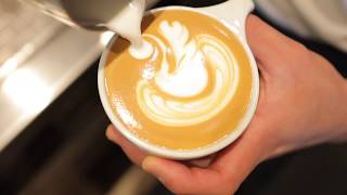 Experience Cafe Virtuoso | Client Video