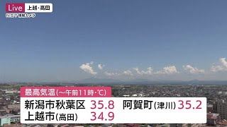 新潟市秋葉区・阿賀町ですでに３５℃超（午前１１時時点）　外出避けるなど熱中症に警戒を【新潟県】 (23/08/20 12:14)