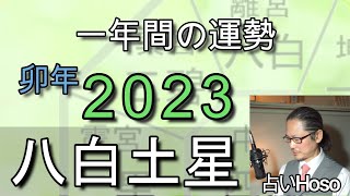 2023年の運勢【八白土星】九星 タロット【令和五年 卯年】 一年間の占い