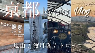 【京都vlog】日帰り嵐山🪵🚶カフェ巡り｜嵯峨野トロッコ