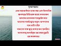 হযরত আব্দুল্লাহ বিন জায়েদ রাঃ বিবাহের কাহিনী hazrat abdullah rh. marriage islamic story ik