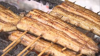 うな重求め多くの客　札幌の老舗うなぎ料理店大忙し【HTBニュース】