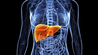 Primary Biliary Cirrhosis