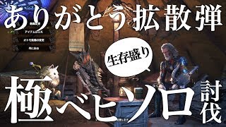 【MHW】極ベヒーモス ソロ 生存盛り拡散弾ヘビィ