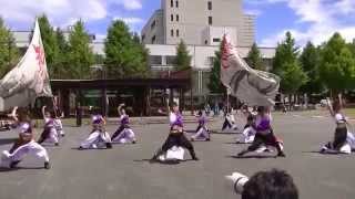 たかさき人情市（20150628_祭空）襲雷舞踊団