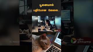 பூனையால் பறிபோன வேலை.. | #china | #cat | #joblost | #shorts