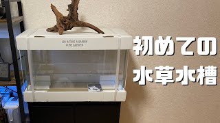 【水草水槽】60cm水槽の立ち上げ #19