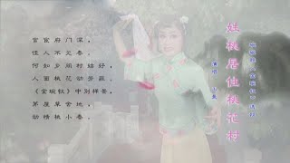 碗碗腔《金碗钗》选段 ：姓桃居住杏花村 /王曼演唱