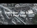 Burna Boy - City Boys - 1 Hour Loop